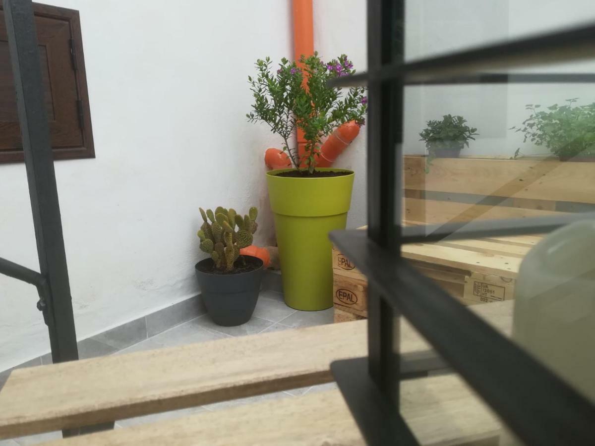 Sofia Pretty Appartament Palermo Zewnętrze zdjęcie